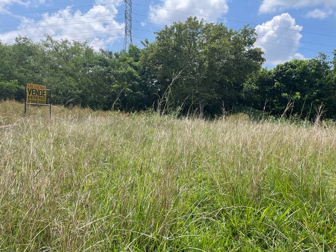 Lote en venta en Pance, Cali, 3000 m² · foto 2 de 6