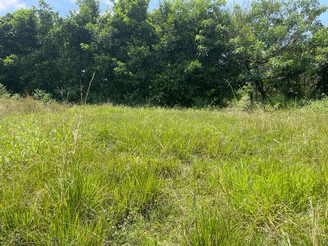 Lote en venta en Pance, Cali, 3000 m² · foto 4 de 6