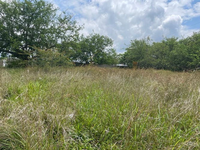 Lote en venta en Pance, Cali, 3000 m² · foto 5 de 6