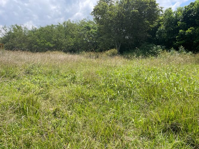 Lote en venta en Pance, Cali, 3000 m² · foto 6 de 6