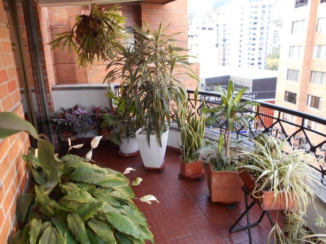 Apartamento de 4 alcobas en venta en Santa Teresita, Cali, 228 m² · foto 4 de 24