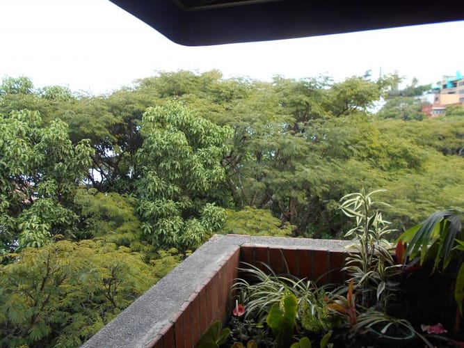 Apartamento de 4 alcobas en venta en Santa Teresita, Cali, 228 m² · foto 15 de 24