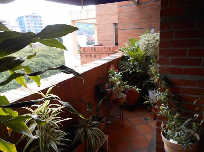 Apartamento de 4 alcobas en venta en Santa Teresita, Cali, 228 m² · foto 22 de 24
