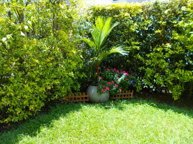 Casa de 4 alcobas en venta en Alfaguara, Jamundí, 179 m² · foto 12 de 23