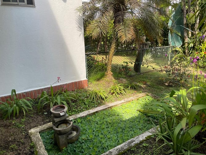 Casa de 4 alcobas en venta en La Morada, Jamundí, 324 m² · foto 21 de 22