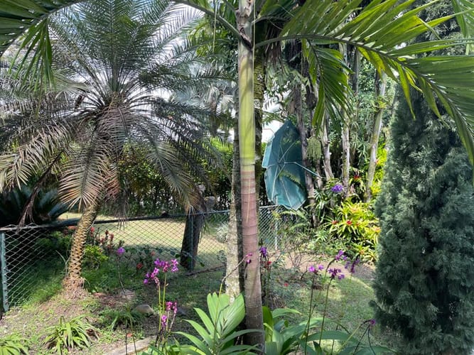 Casa de 4 alcobas en venta en La Morada, Jamundí, 324 m² · foto 22 de 22