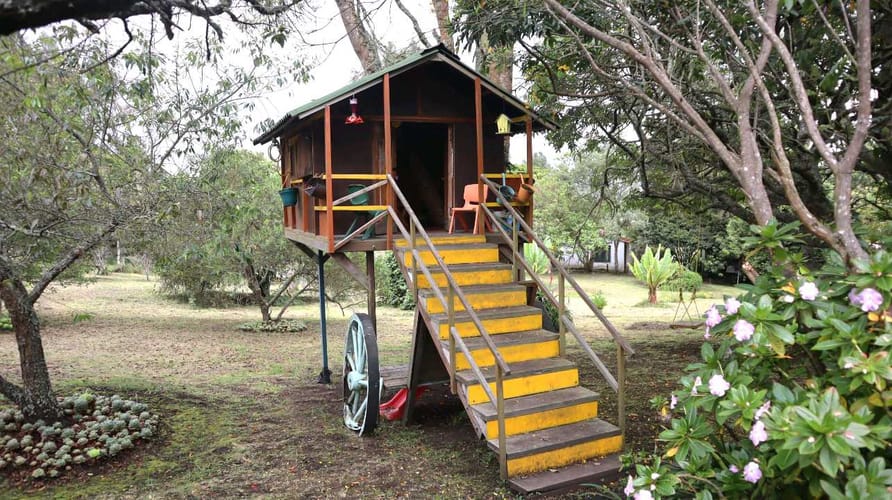 Casa de 4 alcobas en arriendo en Alto De Toche, Ibagué, 500 m² · foto 6 de 11
