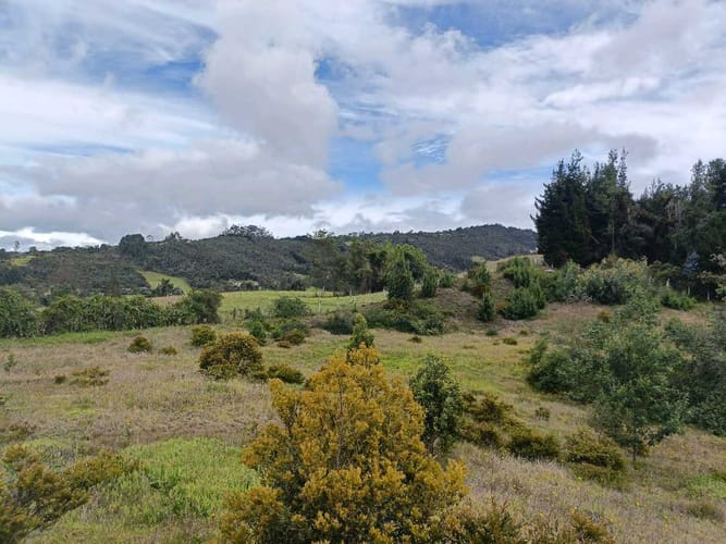 Lote en venta en Yerbabuena, Chía, 10040 m² · foto 3 de 11
