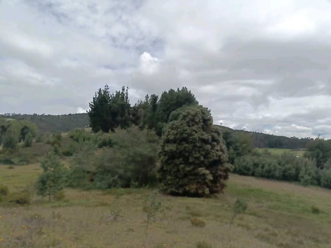 Lote en venta en Yerbabuena, Chía, 10040 m² · foto 6 de 11