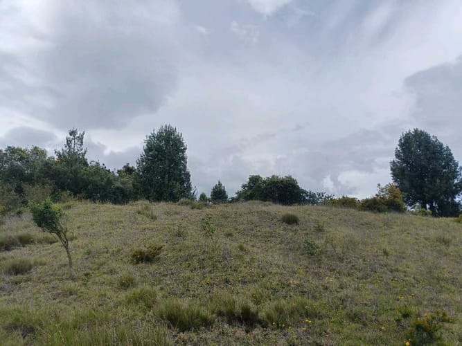 Lote en venta en Yerbabuena, Chía, 10040 m² · foto 8 de 11