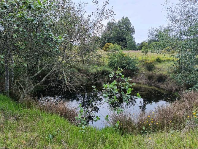 Lote en venta en Yerbabuena, Chía, 10040 m² · foto 10 de 11