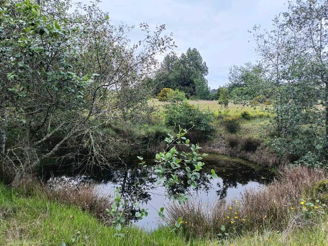 Lote en venta en Yerbabuena, Chía, 10040 m² · foto 11 de 11