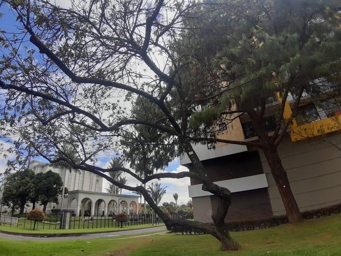 Apartaestudio en arriendo en Atabanza, Bogotá, 52 m² · foto 17 de 24