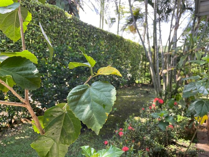 Casa de 5 alcobas en venta en Juan De Ampudia, Jamundí, 350 m² · foto 20 de 24