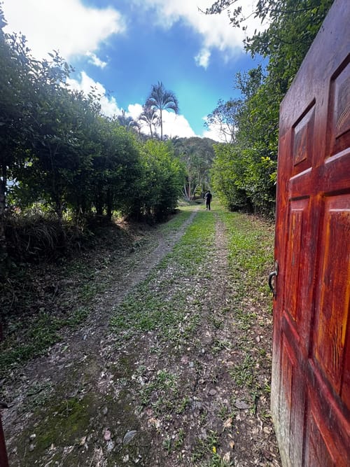 Finca en venta en El Totumo, Ibagué, 17312 m² · foto 9 de 20