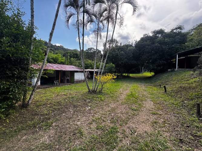 Finca en venta en El Totumo, Ibagué, 17312 m² · foto 15 de 20