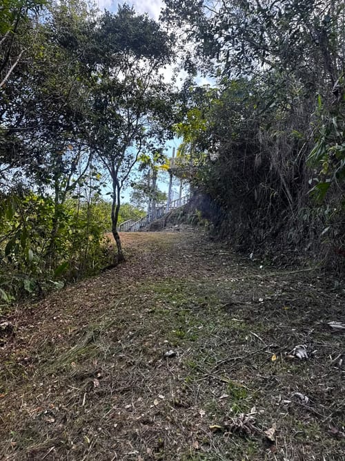 Finca en venta en El Totumo, Ibagué, 17312 m² · foto 20 de 20