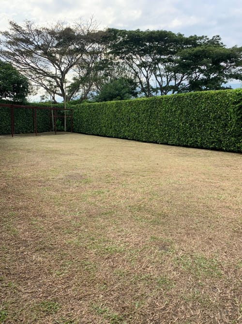 Casa de 4 alcobas en venta en Pance, Cali, 270 m² · foto 17 de 18