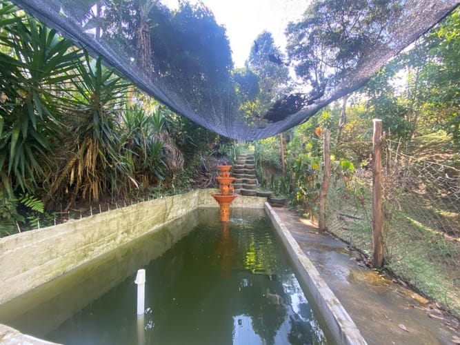 Casa de 6 alcobas en venta en Alfaguara, Jamundí, 480 m² · foto 14 de 24