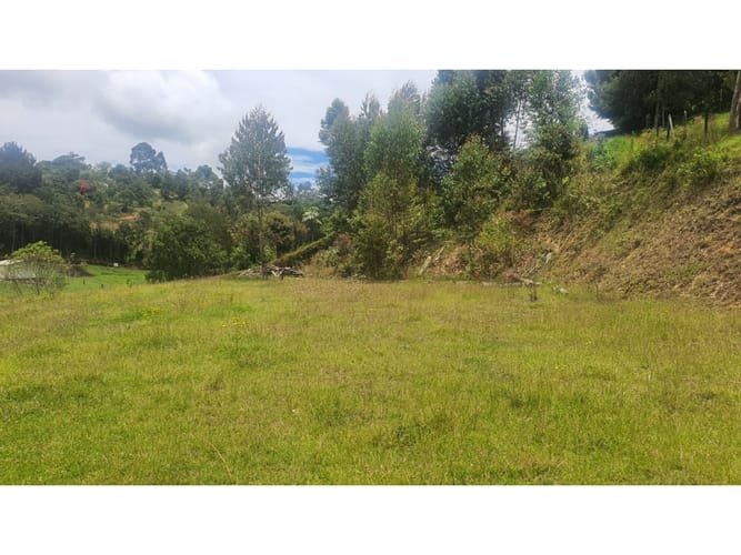 Lote en venta en Samaria, El Carmen de Viboral, 3720 m² · foto 2 de 10