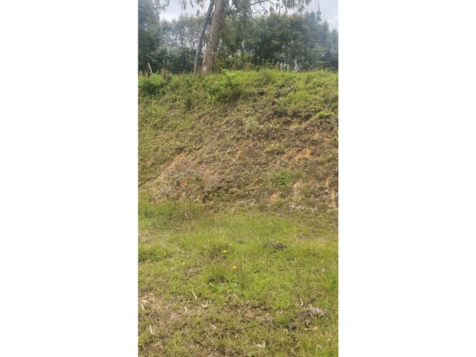 Lote en venta en Samaria, El Carmen de Viboral, 3720 m² · foto 4 de 10