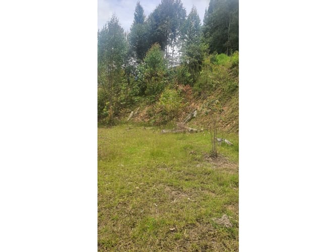 Lote en venta en Samaria, El Carmen de Viboral, 3720 m² · foto 8 de 10