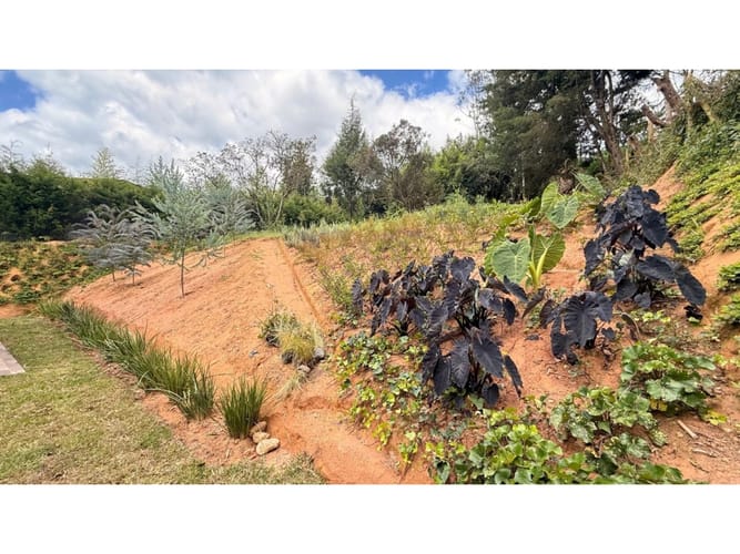 Finca en venta en Guarne, 200 m² · foto 13 de 24