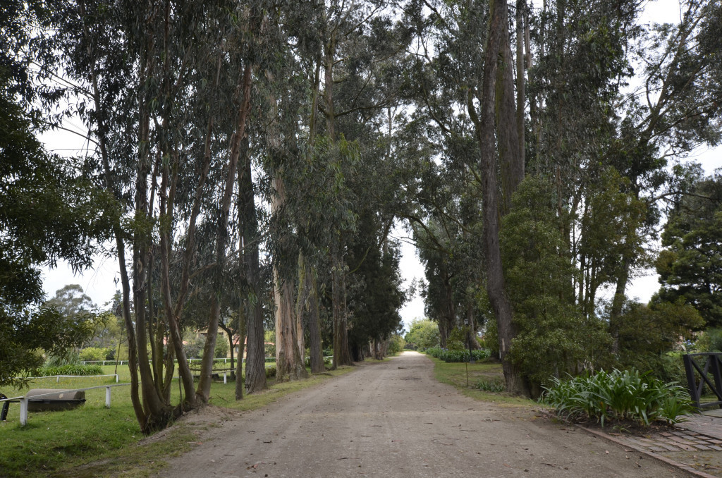 Casa en venta en Canelon, Cajicá · foto 4 de 24