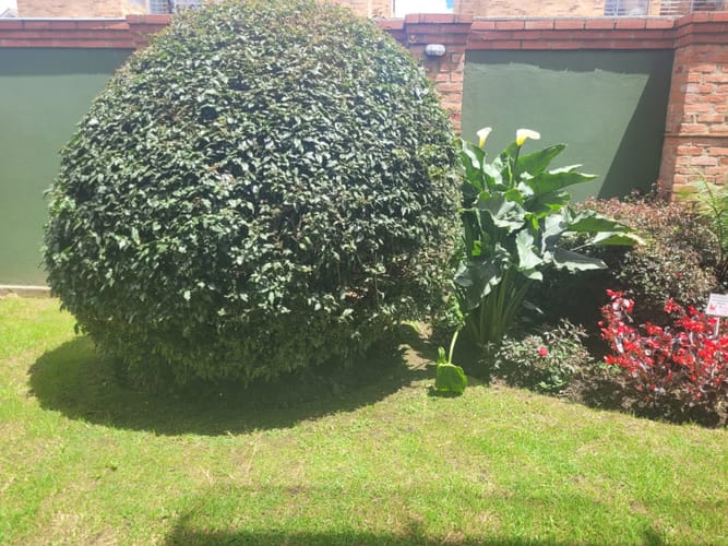 Apartaestudio en venta en La Estrella, Chía, 43 m² · foto 3 de 16