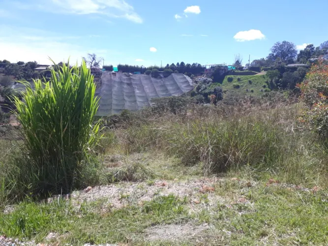 Lote en venta en Cuatro Esquinas, Rionegro, 3560 m² · foto 3 de 24
