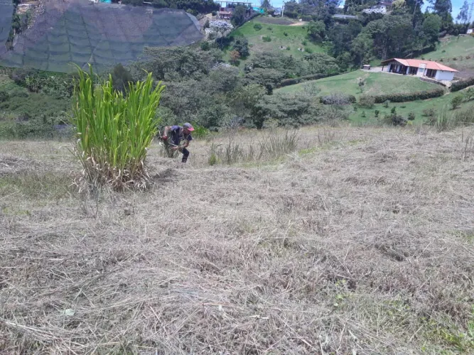 Lote en venta en Cuatro Esquinas, Rionegro, 3560 m² · foto 7 de 24