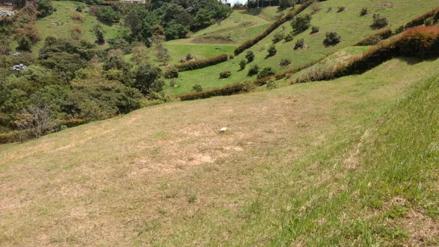 Lote en venta en Cuatro Esquinas, Rionegro, 3560 m² · foto 12 de 24