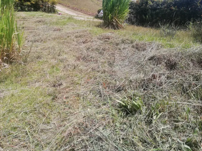 Lote en venta en Cuatro Esquinas, Rionegro, 3560 m² · foto 21 de 24