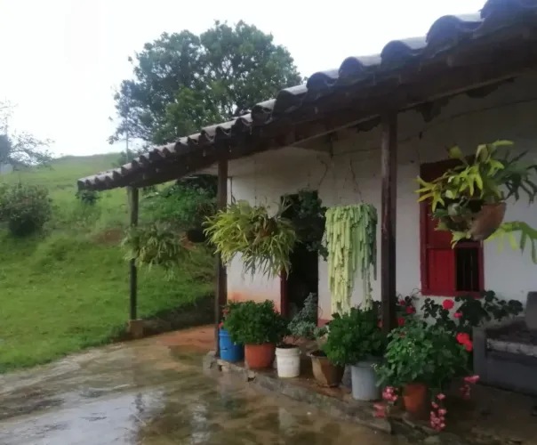 Finca en venta en San Jose De Manzanillo, Medellín, 6070 m² · foto 2 de 10