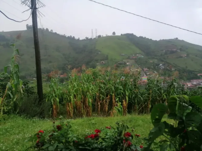 Finca en venta en San Jose De Manzanillo, Medellín, 6070 m² · foto 10 de 10
