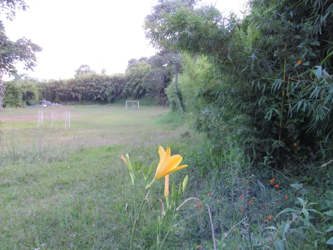 Lote en venta en Fontibon, Rionegro, 40000 m² · foto 2 de 24