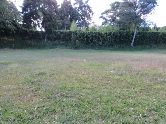 Lote en venta en Fontibon, Rionegro, 40000 m² · foto 4 de 24