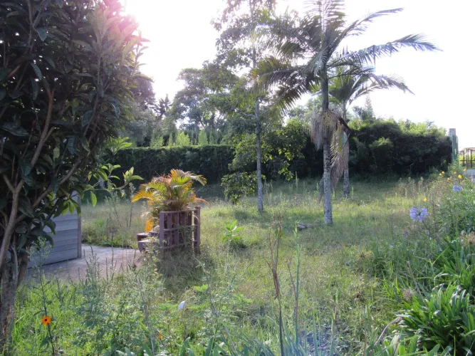 Lote en venta en Fontibon, Rionegro, 40000 m² · foto 5 de 24