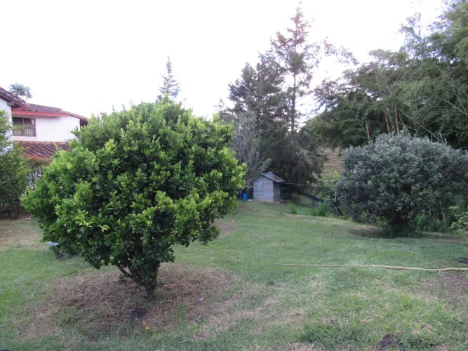 Lote en venta en Fontibon, Rionegro, 40000 m² · foto 6 de 24