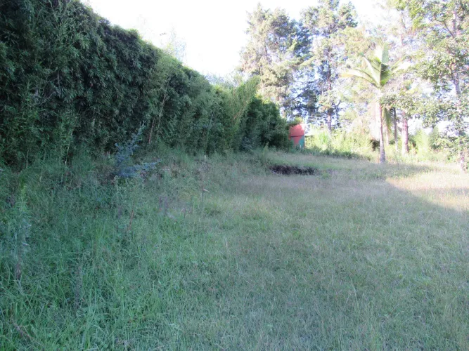 Lote en venta en Fontibon, Rionegro, 40000 m² · foto 7 de 24