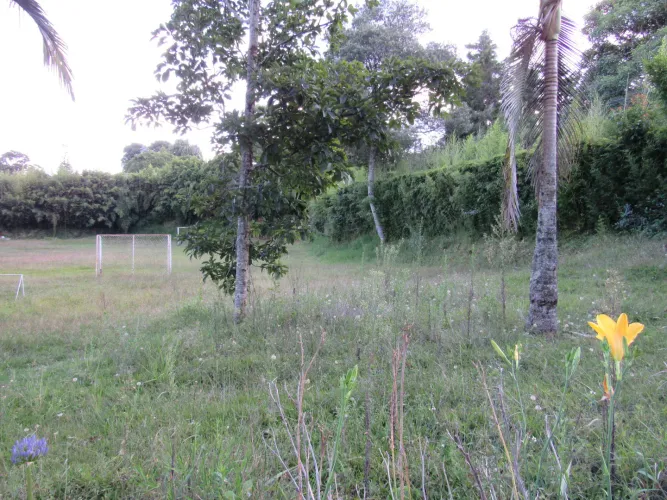 Lote en venta en Fontibon, Rionegro, 40000 m² · foto 13 de 24