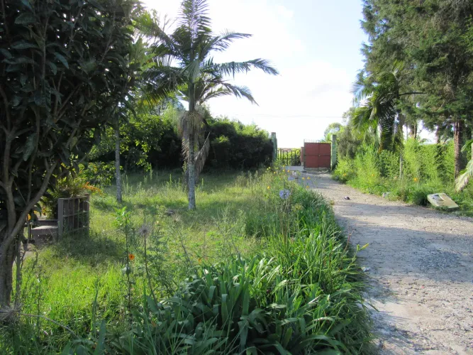 Lote en venta en Fontibon, Rionegro, 40000 m² · foto 16 de 24