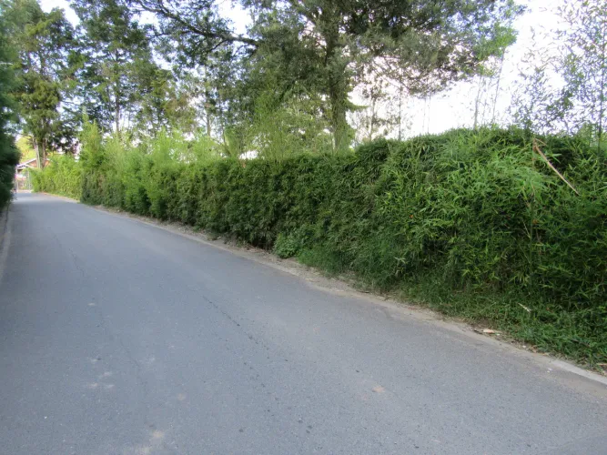 Lote en venta en Fontibon, Rionegro, 40000 m² · foto 21 de 24