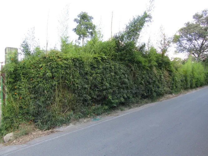 Lote en venta en Fontibon, Rionegro, 40000 m² · foto 22 de 24