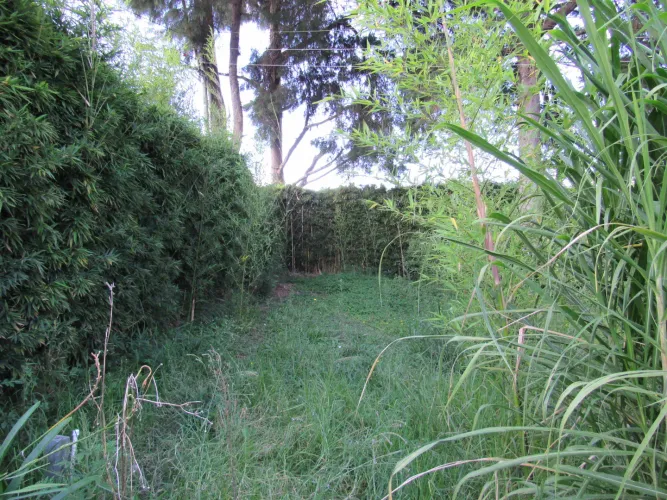 Lote en venta en Fontibon, Rionegro, 40000 m² · foto 23 de 24