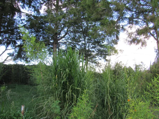 Lote en venta en Fontibon, Rionegro, 40000 m² · foto 24 de 24