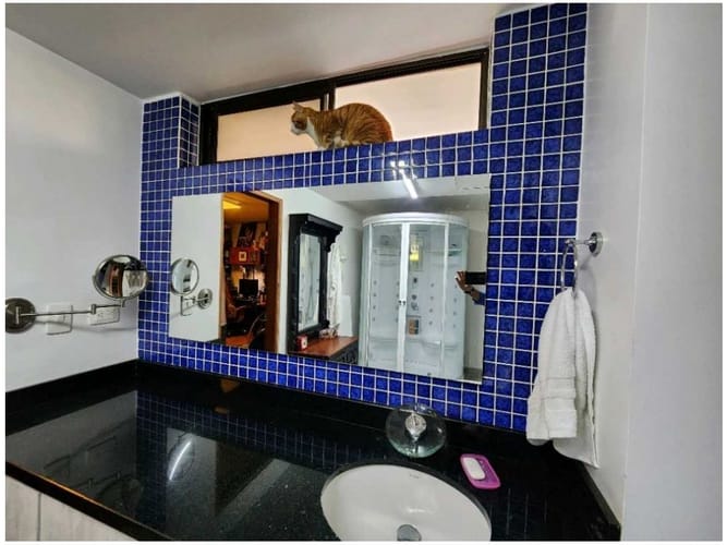 Apartamento de 3 alcobas en venta en El Diamante No. 2, Medellín, 264 m² · foto 13 de 18