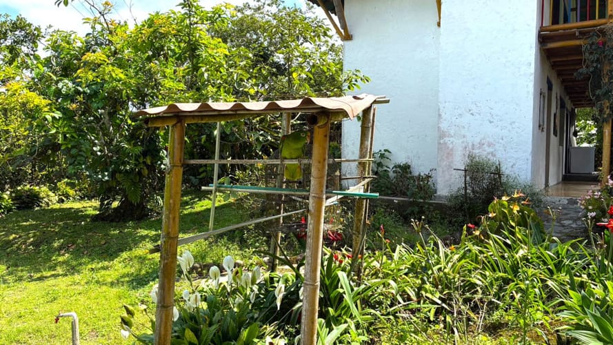 Casa de 9 alcobas en venta en Calle Larga, Armenia, 887 m² · foto 22 de 24
