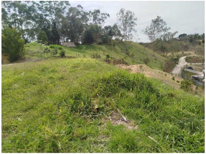 Lote en venta en Playa Rica-Rancheria, Rionegro, 1401 m² · foto 12 de 24