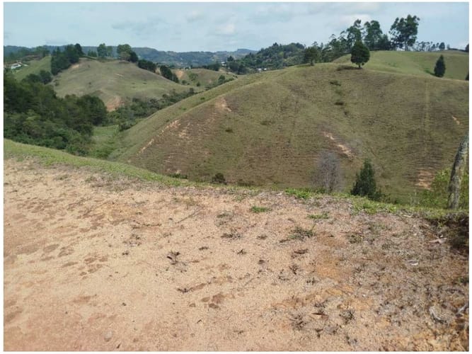 Lote en venta en Playa Rica-Rancheria, Rionegro, 1401 m² · foto 18 de 24